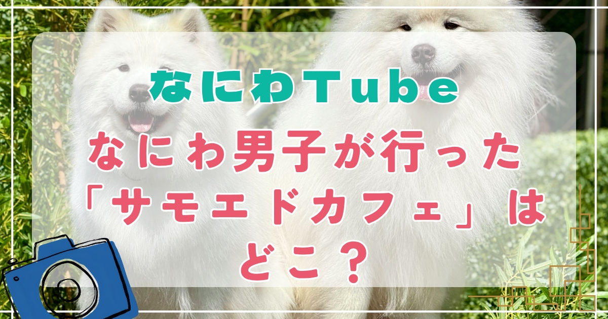 【なにわTubeロケ地】なにわ男子が行ったサモエドカフェはどこ？